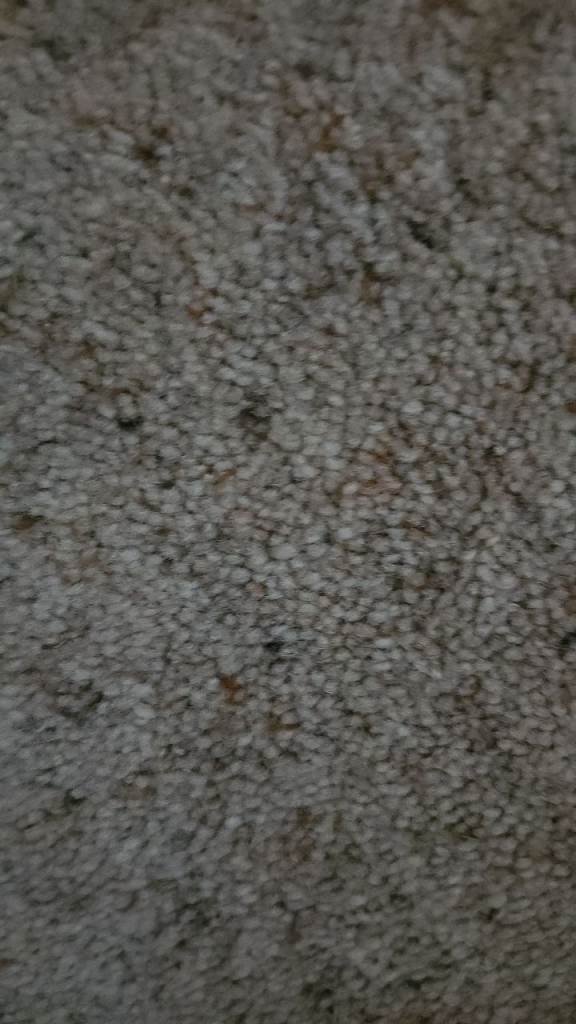 House and carpets and more 