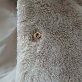 Ladies Warm Coat. Size S. £20