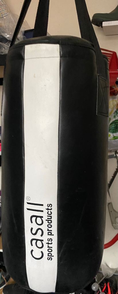 Punch bag & bracket: back extension machine