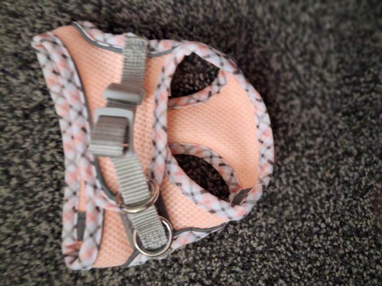 Dog Harness XS