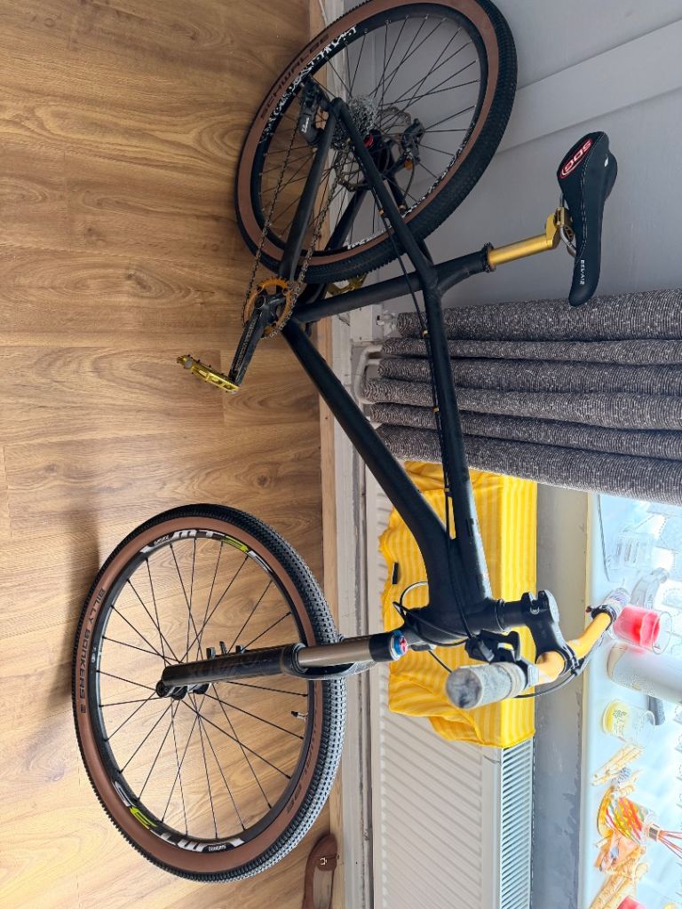 NS Bikes Eccentric Alu EVO