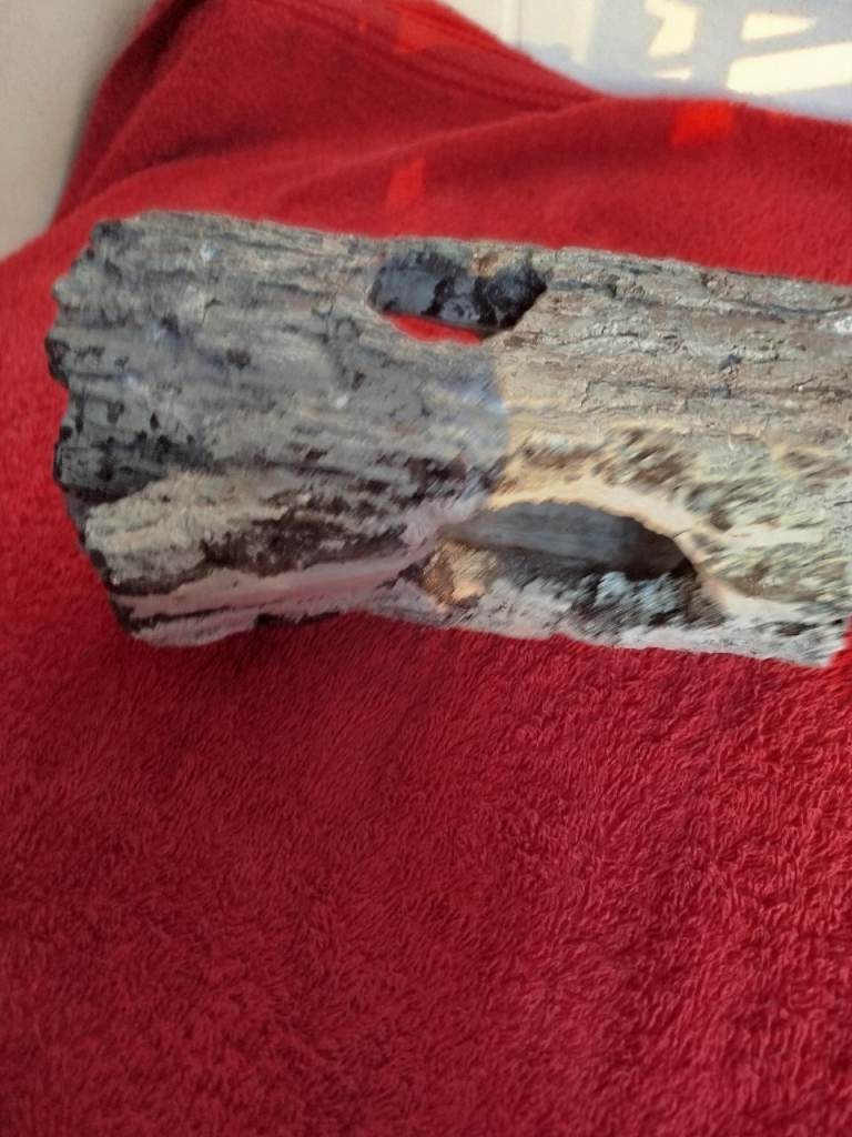 Reptile hide 