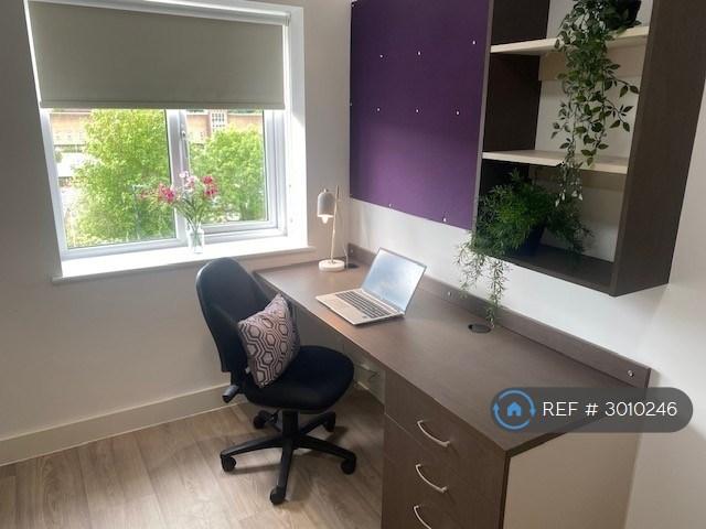 2 bedroom flat in Neuadd Y Castell, Bangor, LL57 (2 bed) (#3010246)