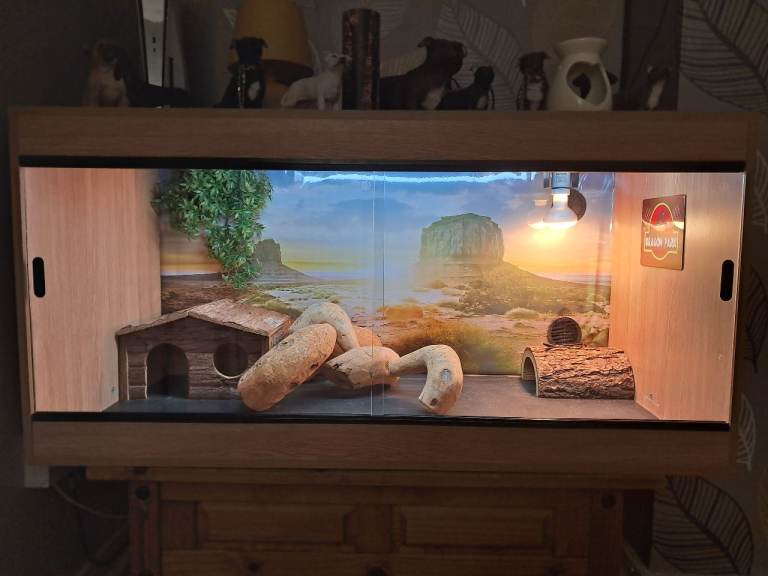 4ft vivarium