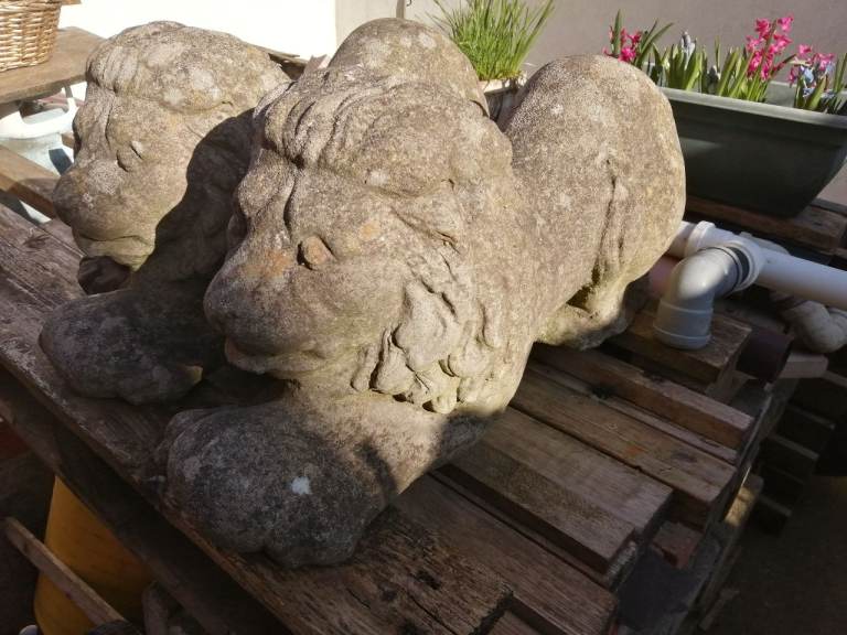 image for Ornamental garden statue - crouching lion (2 available) 