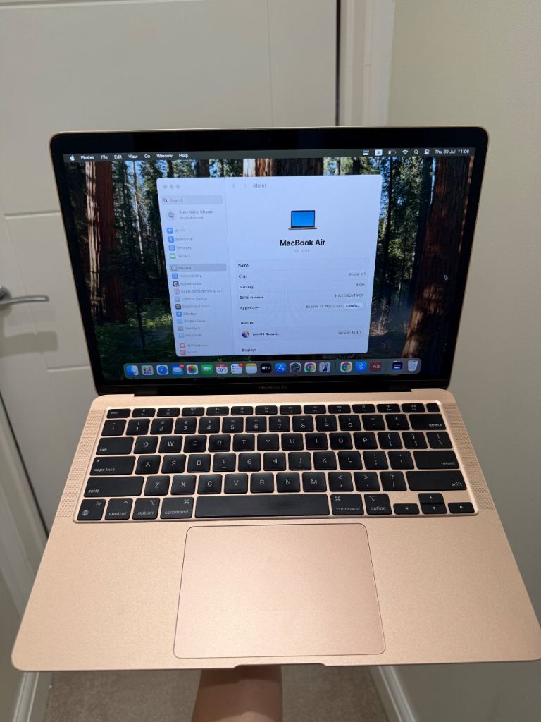 Apple MacBook Air (M1, 2020) rose gold with AppleCare+