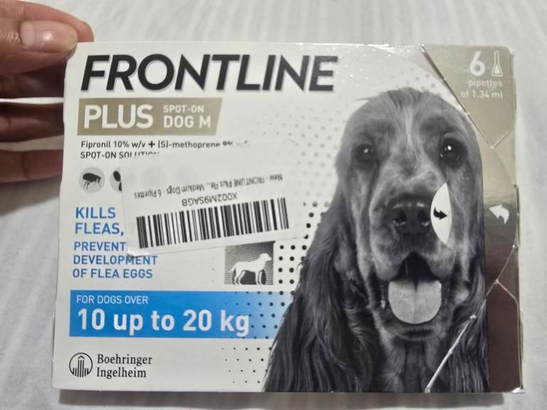 Frontline plusspot on dog M