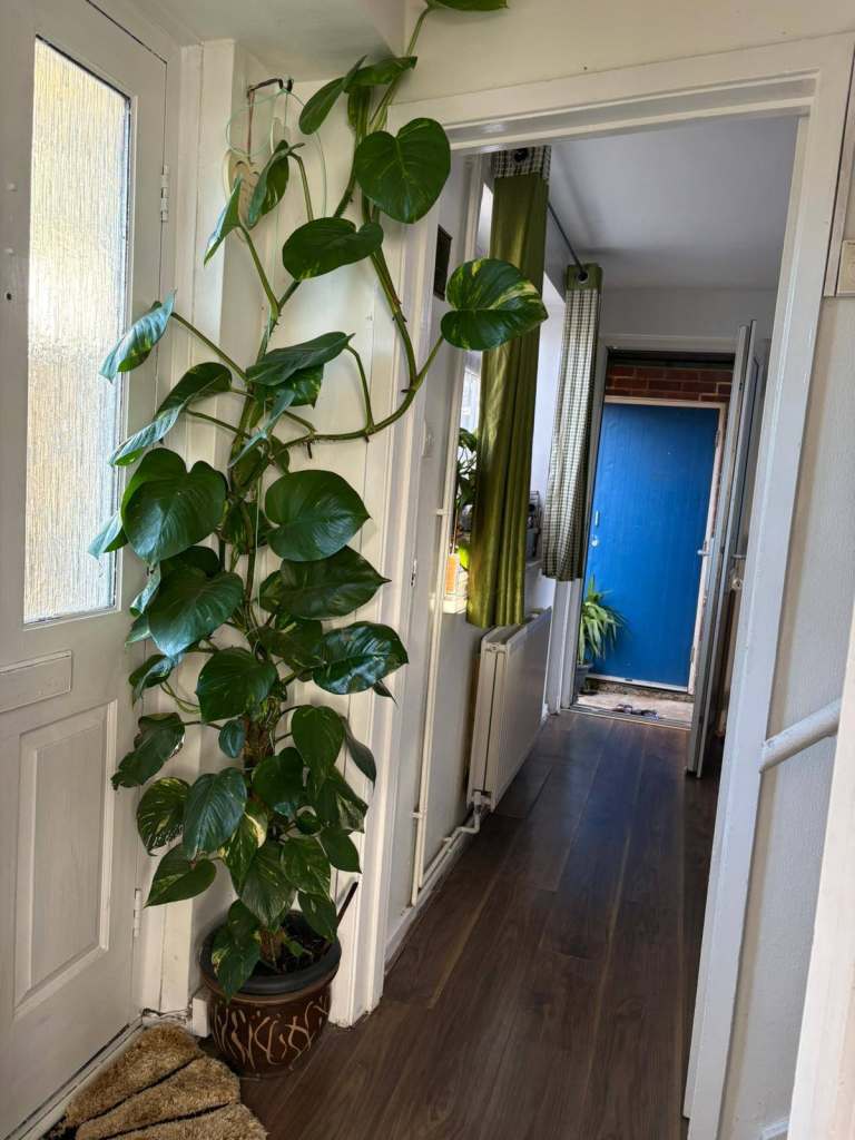 2 Bed Semi detached House for Rent ,Usk Road,Rg30