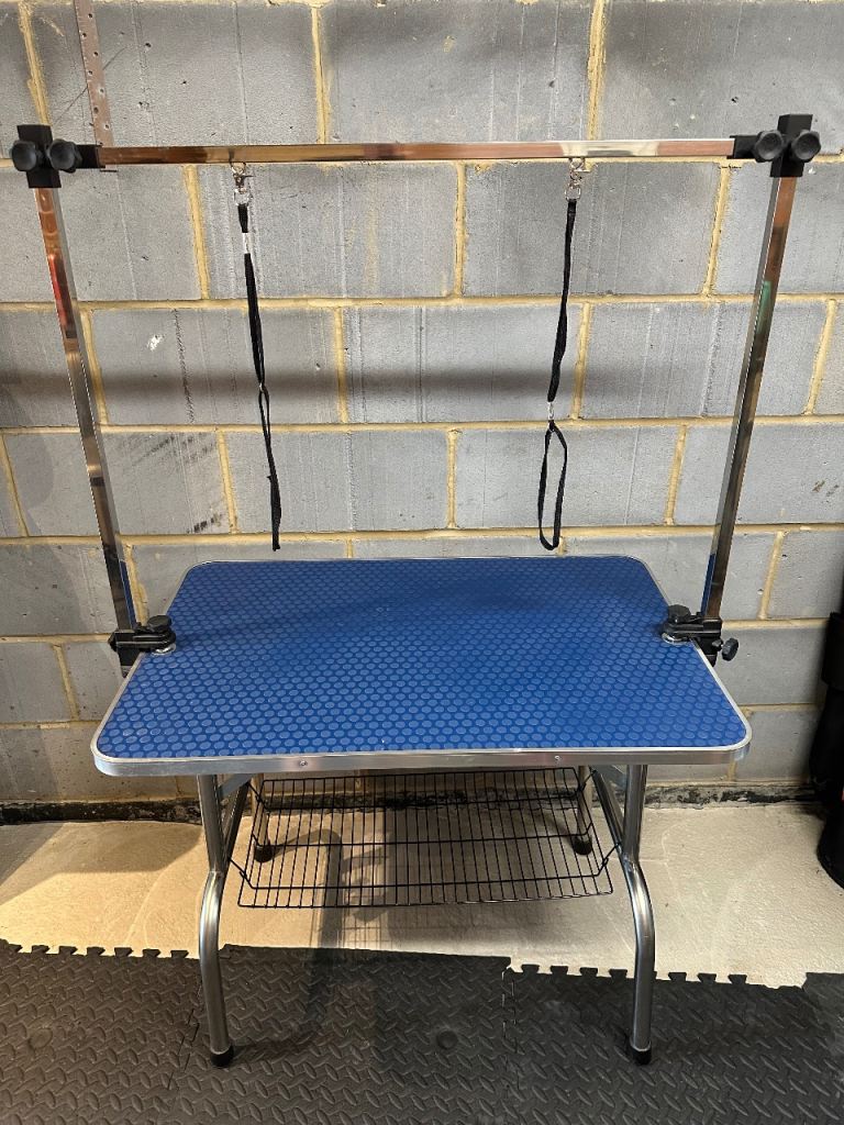 Dog grooming table - Blue with Silver legs