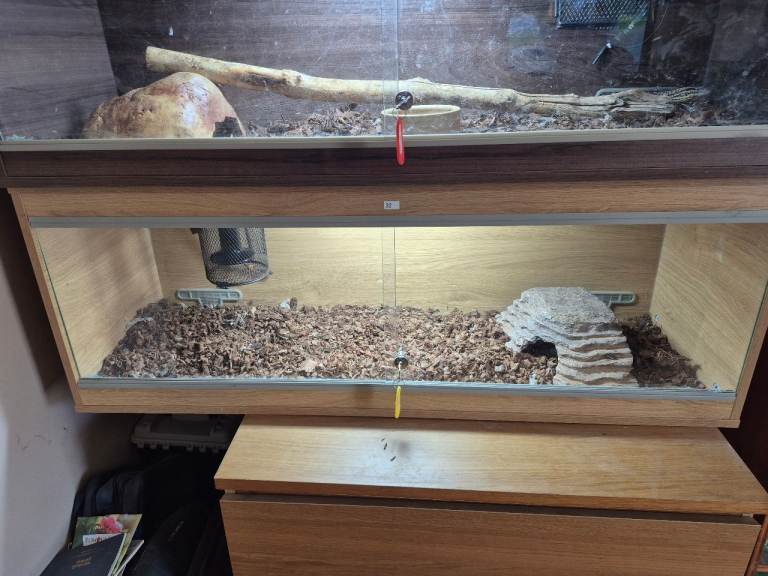 vivarium 