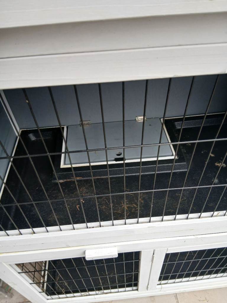 Rabbit hutch 2 floors