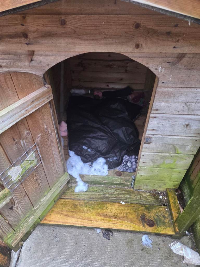 Dog kennel 