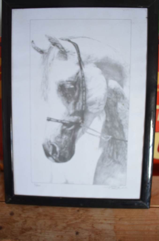 Horse animal artwork Pencil Drawing Print A3 A4 size signed by artist CORNWALL