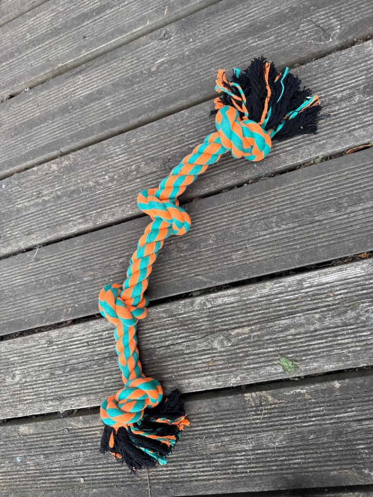 Dog Play Rope