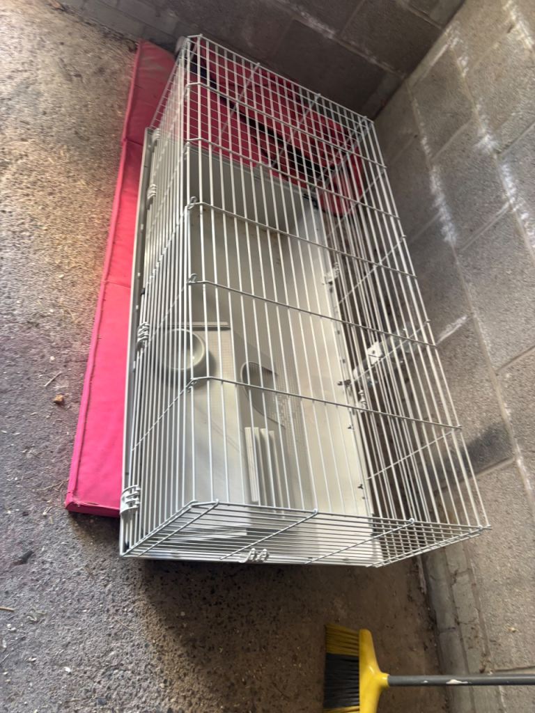 Indoor rabbit / guinea pig cage