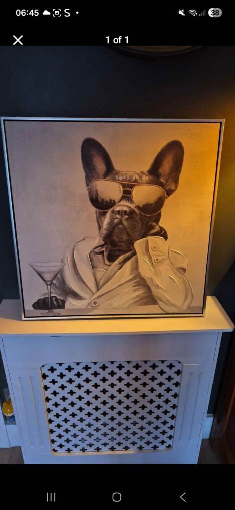 Cool French Bulldog Wall Art with Sunglasses - Good Condition