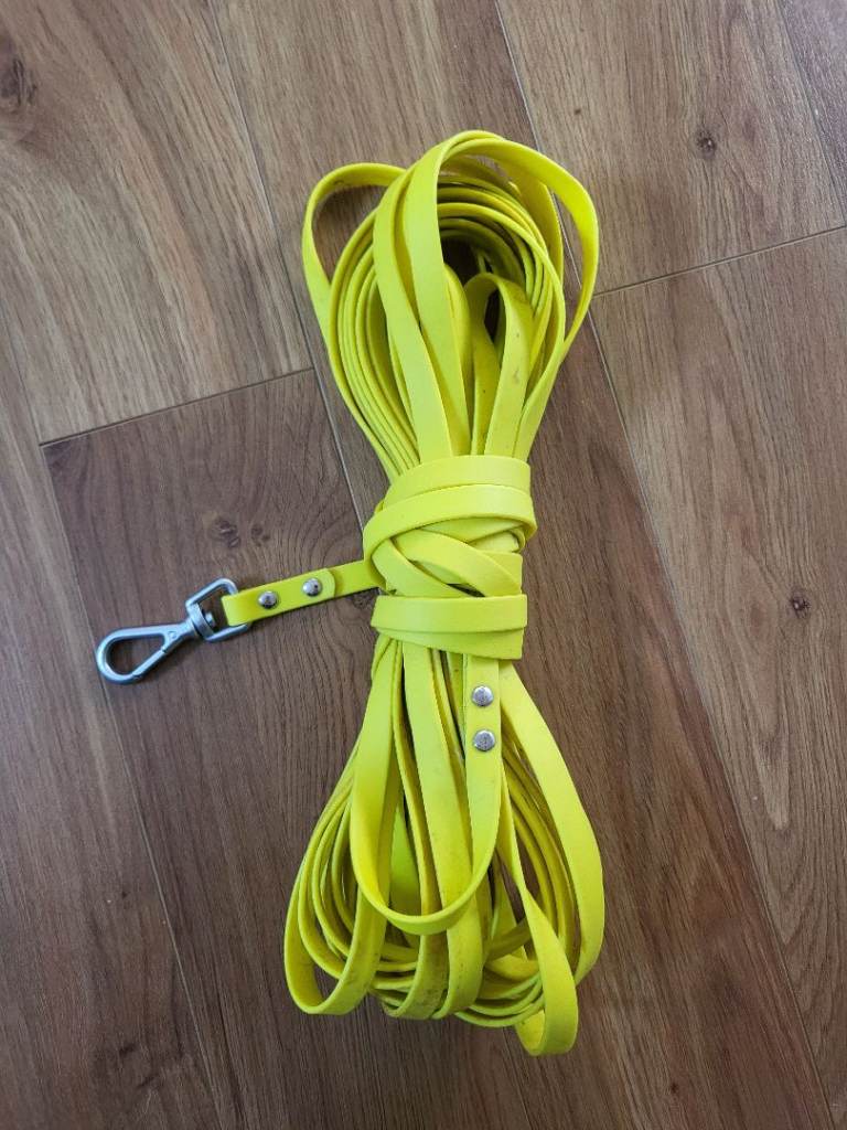 Beach/ waterproof 10m long Lead 