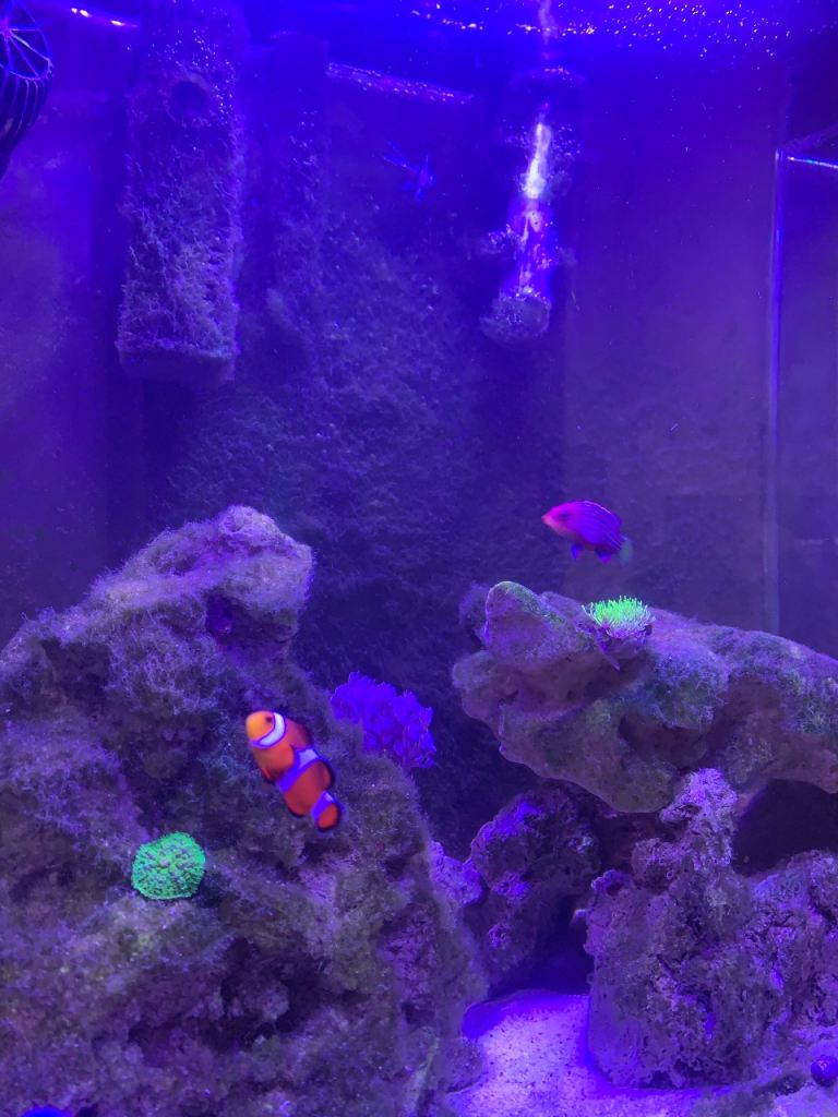 marine tank breakdown 