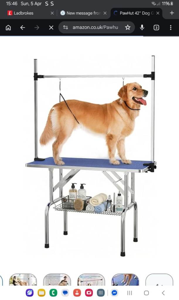 Dog grooming table 