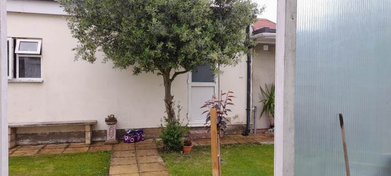 A large room in a semi detached house