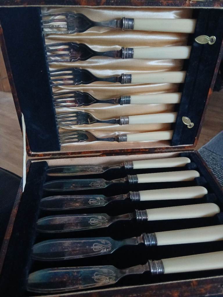 Vintage Cased Cutlery Set – Knives and Forks with Cream Handles