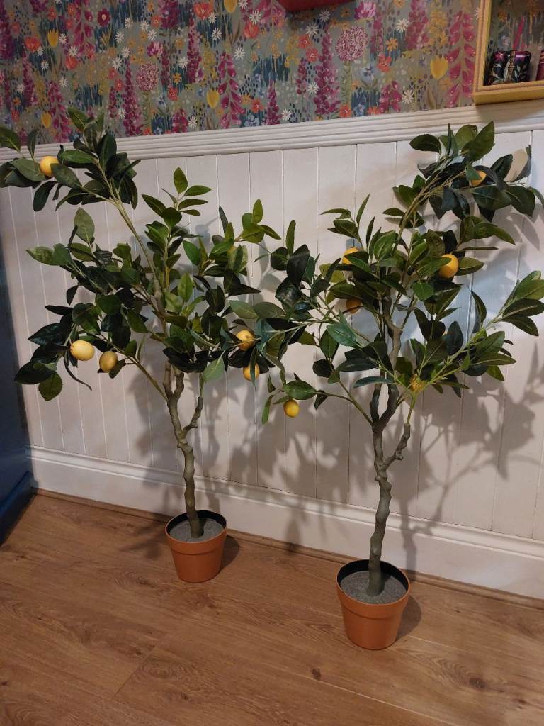Artificial lemon trees