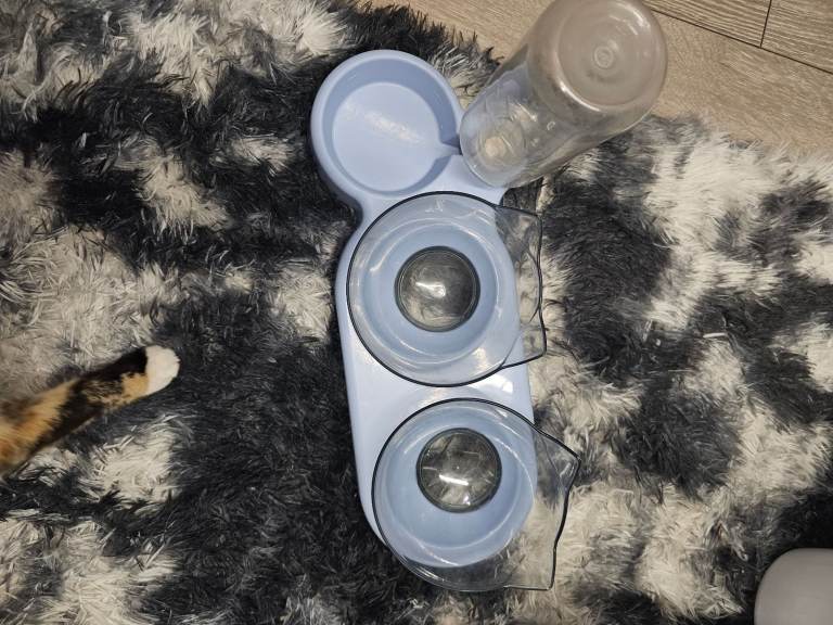 Cat food and water trio