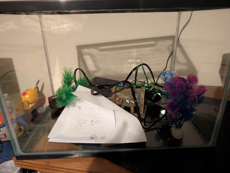 Pump fish tank