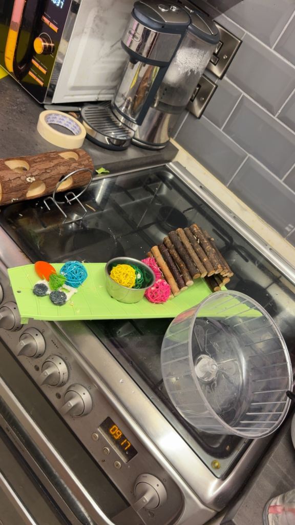 Hamster Cage & All Necessary Accessories.