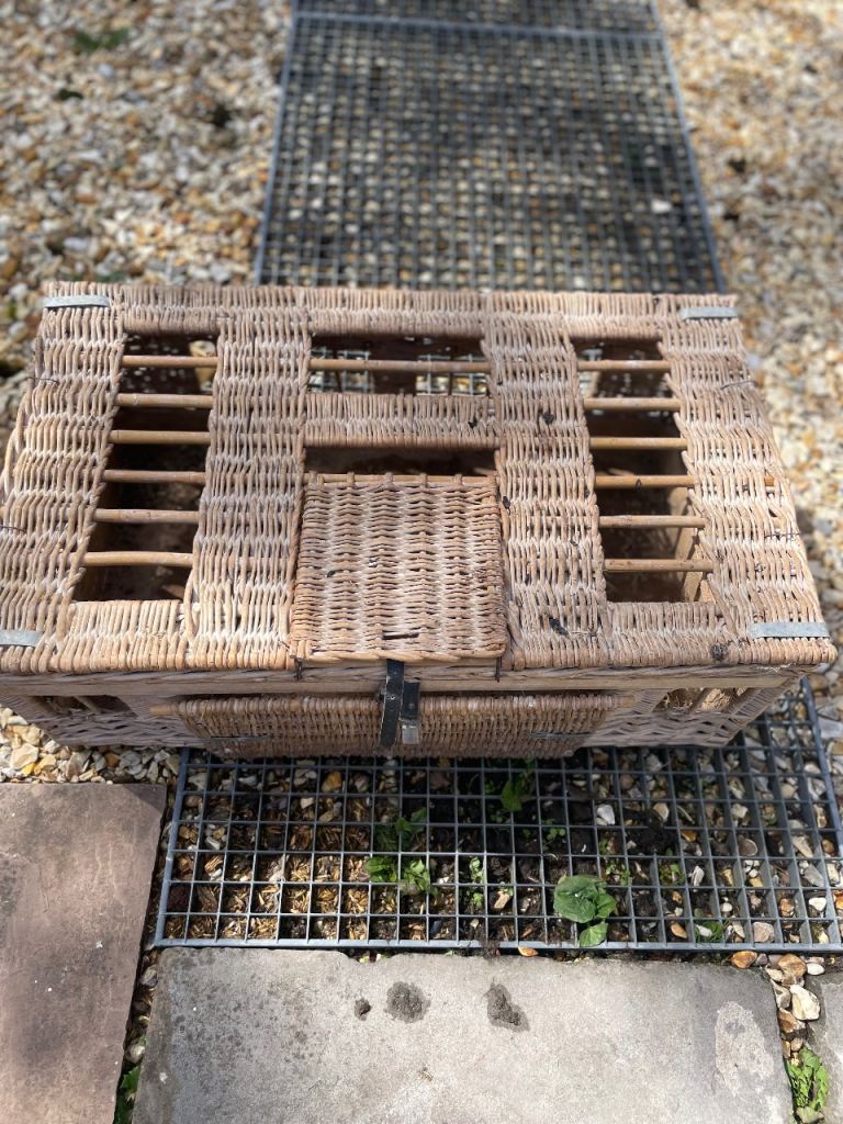 Shepherds pigeon baskets
