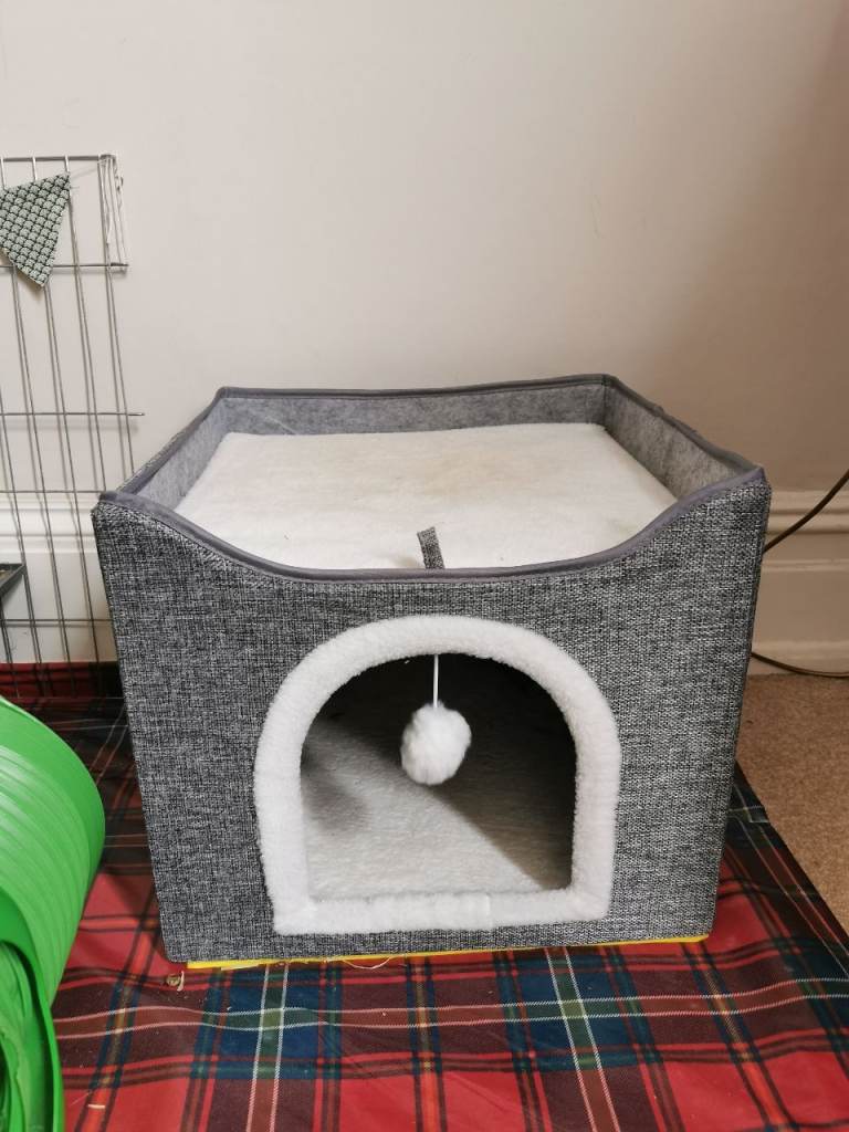 Cat house 