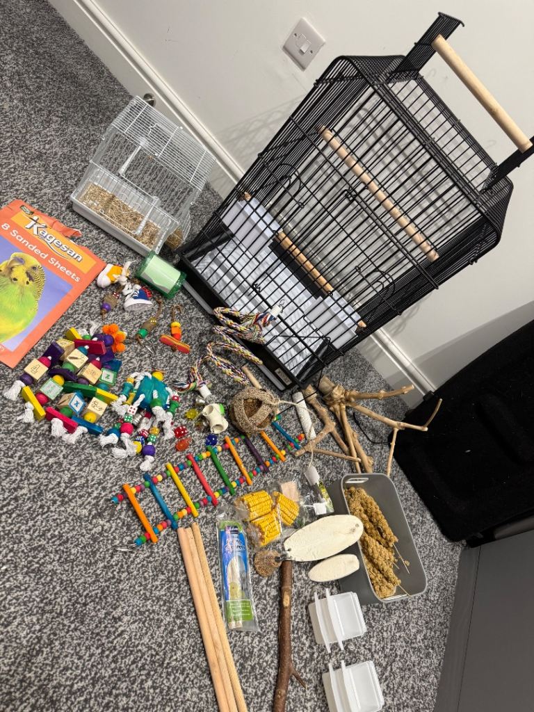 Bird Cage & Accessories 