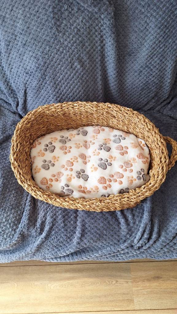 Seagrass cat bed