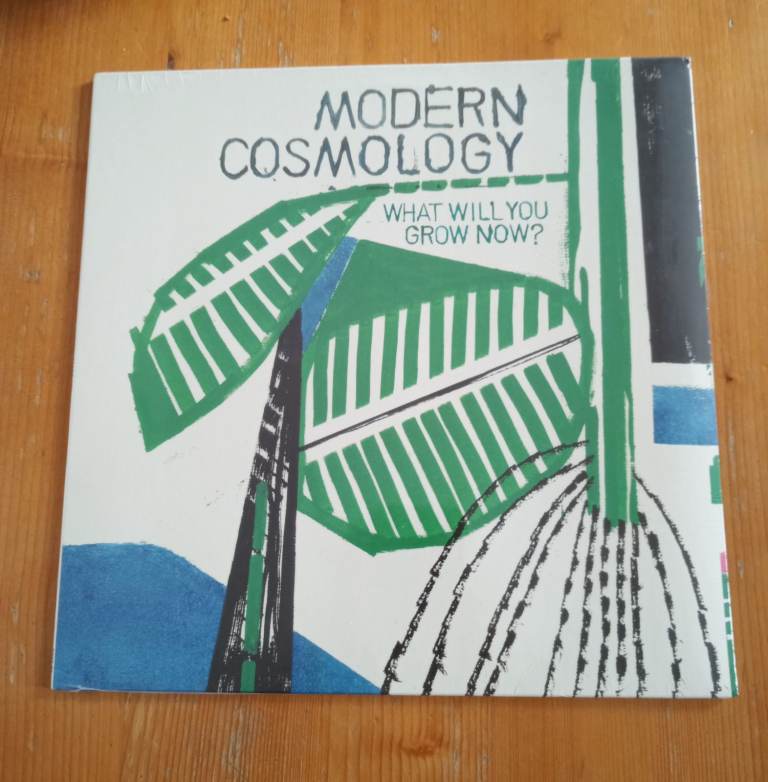 Modern Cosmology - What Will You Grow Now? Vinyl Record