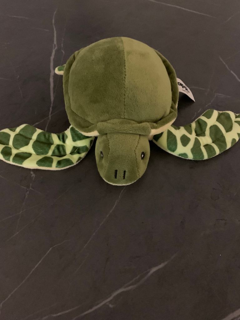 Zappi.Co plush green Sea Turtle