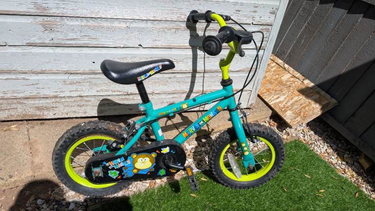 Kids' Bike - 12" Green Bike