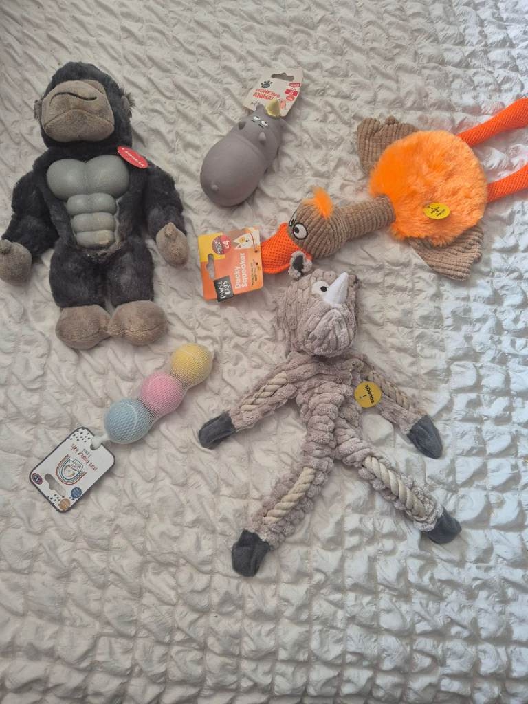 Dog toy bundle 
