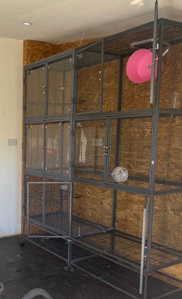 Critter nation cages 