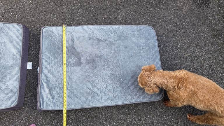 Dog bed 60cmx88cm with washable cover, never used X 2