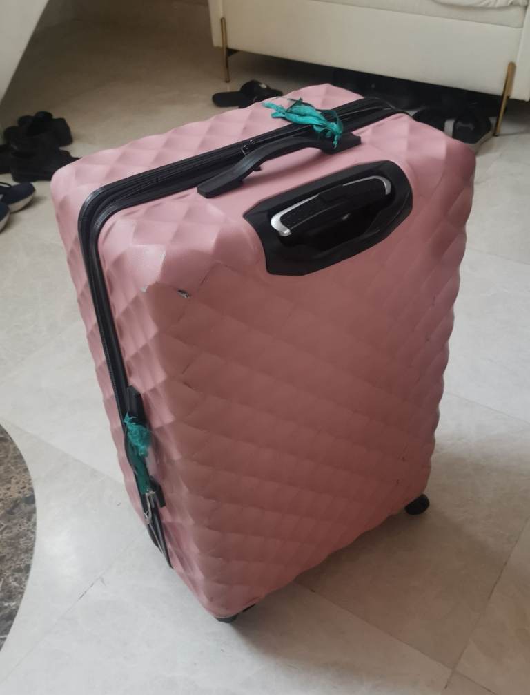 Large Pink Hard Shell Suitcase (Quick Sale)