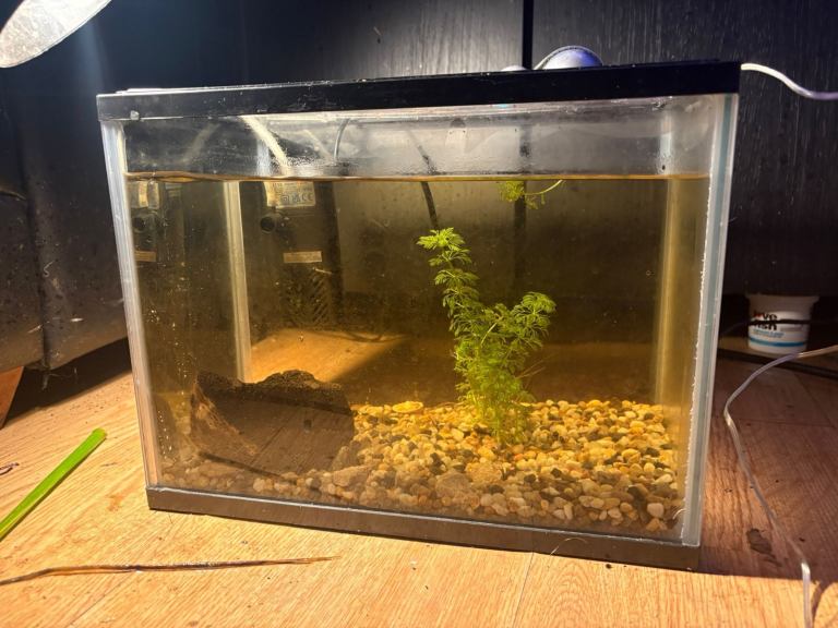 25l fish tank full set up 