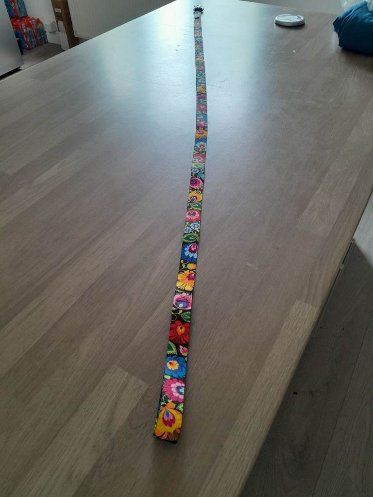 Brand New Lucky Love Dog Leash For Large Dogs