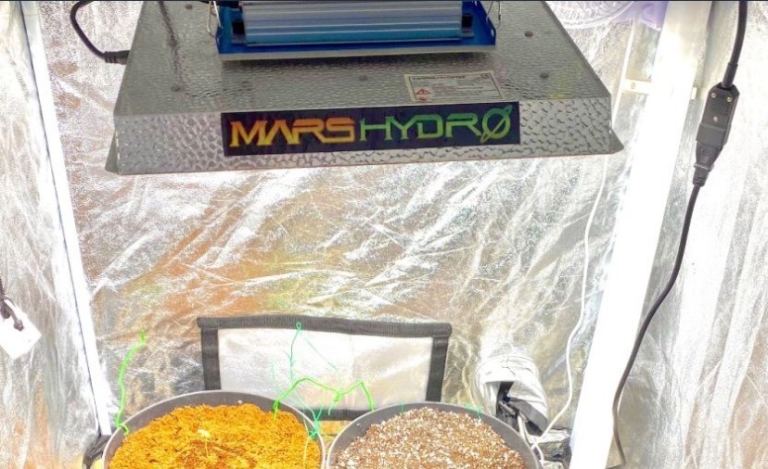 Led grow light TS1000 used once great condition 