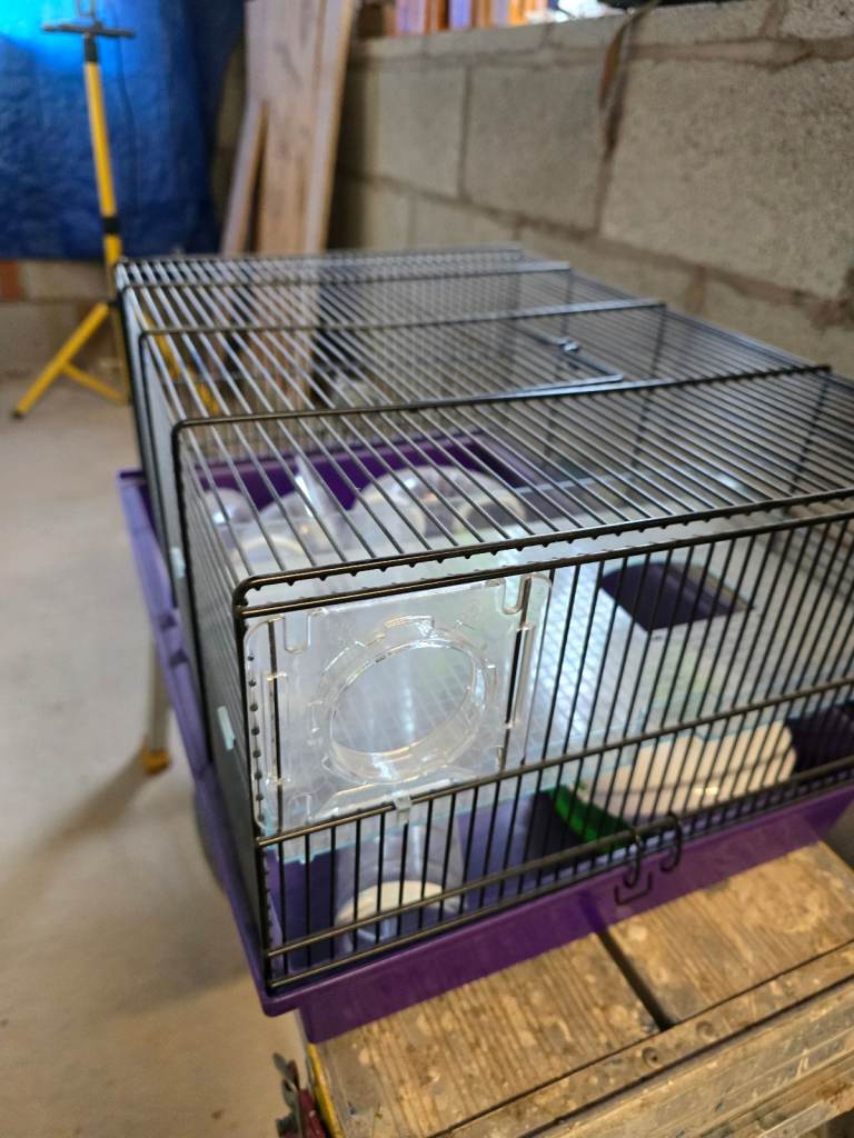 Guinea pig cage