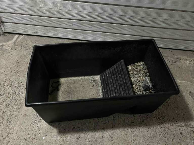 Zoomed Turtle Tub Tank