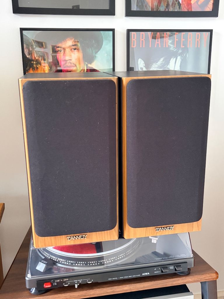 Gorgeous Tannoy Mercury M2 speakers