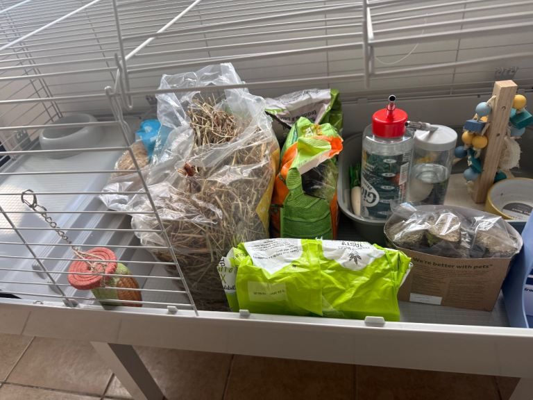 Starter indoor hutch