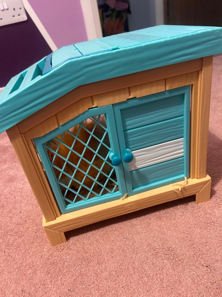 Guinea pig and babies