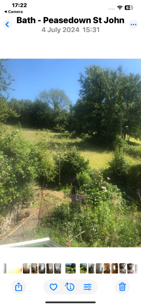 Single furnished room