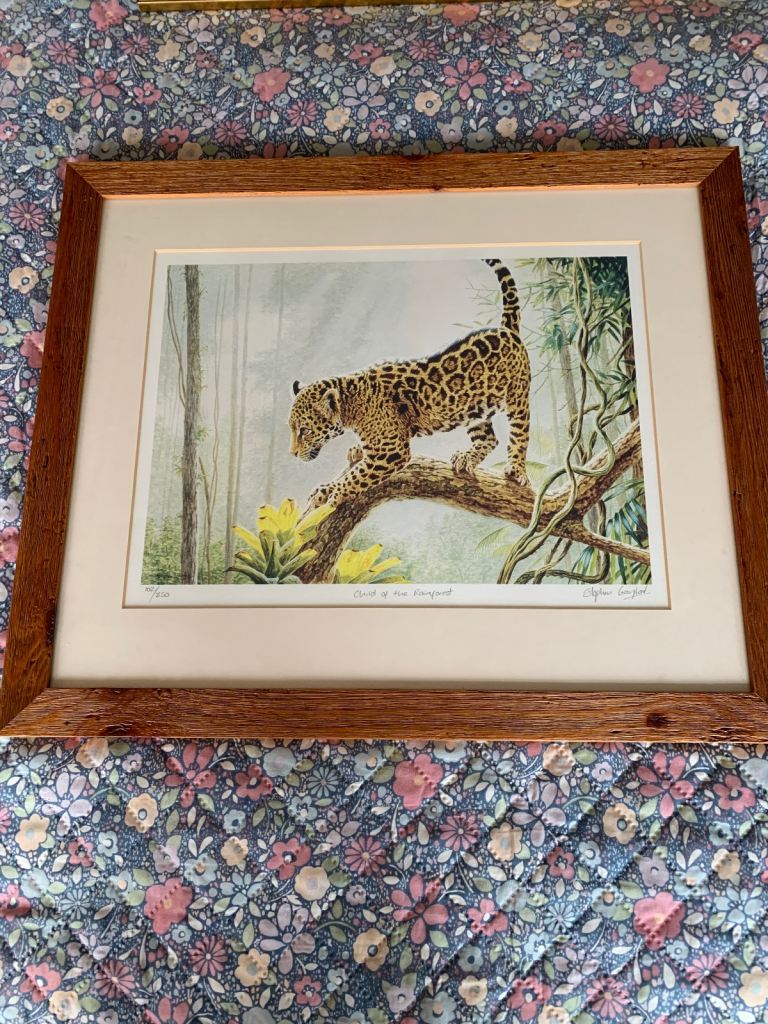 Stephen gayford print